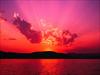 Thumbnail of Photo Number 61